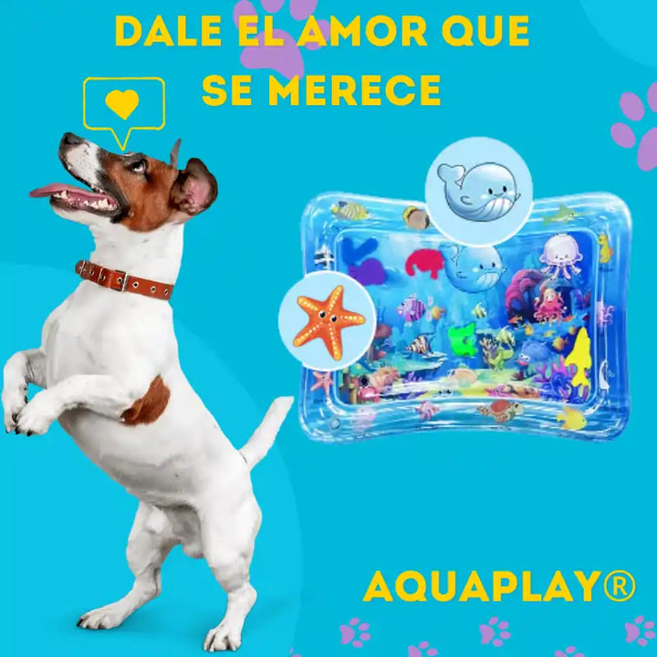 🐶AquaPlay®-Tapete Interactivo para mascotas🐾¡Que empiece la diversión!🐱