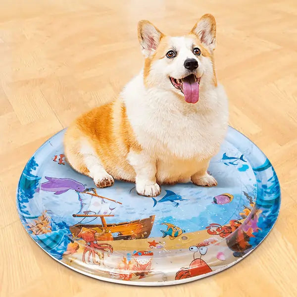 🐶AquaPlay®-Tapete Interactivo para mascotas🐾¡Que empiece la diversión!🐱